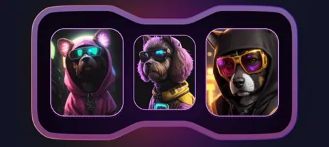Комбо в Not Bored Puppies на 19 Февраля