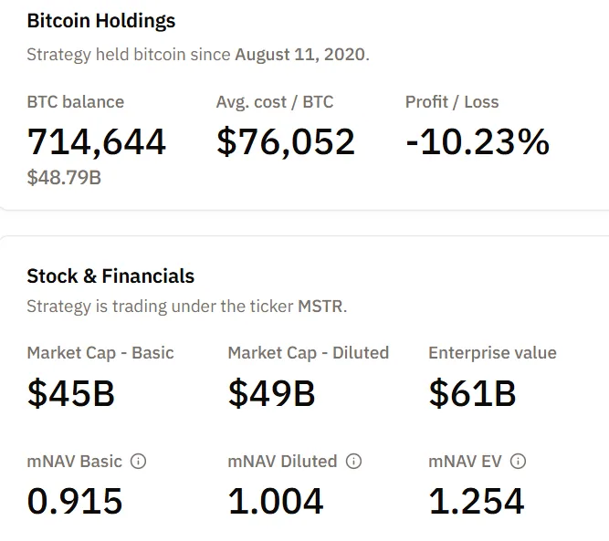 Strategy BTC Holdings