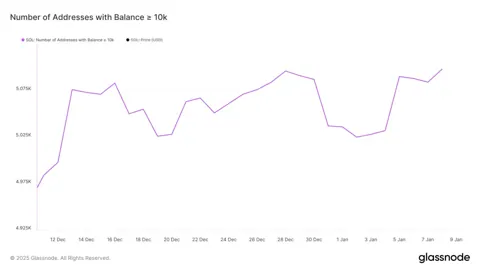 Прогноз для Solana: смогут ли киты вернуть цену выше $200?
