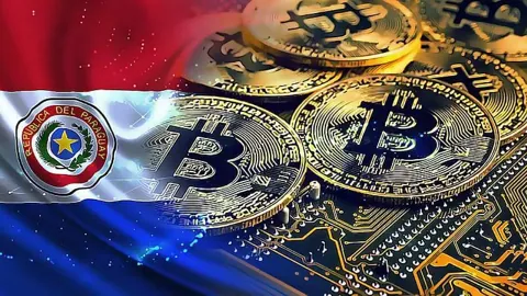 Майнер Bitfarms распродаёт все свои мощности в Парагвае за $85 млн