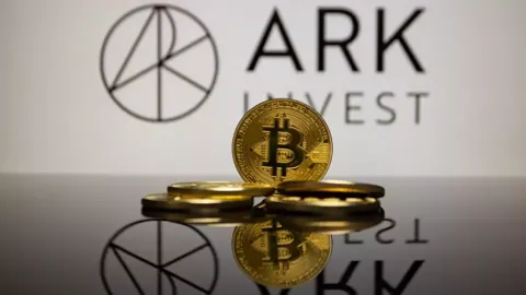 Ark Invest приобрела на просадке акции Coinbase, Circle и Bullish