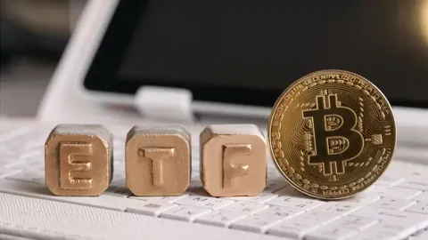 Почти 80% спроса на BTC-ETF пришлось на розничных инвесторов