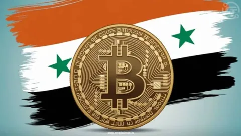Новое правительство Сирии предлагают легализовать биткоин