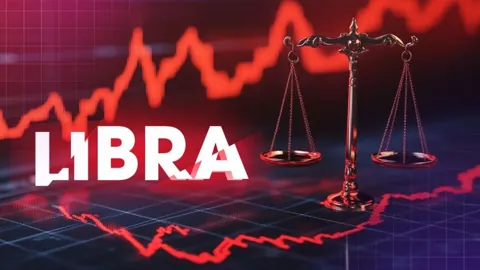 Против создателей токена-мема LIBRA подали групповой иск в суд