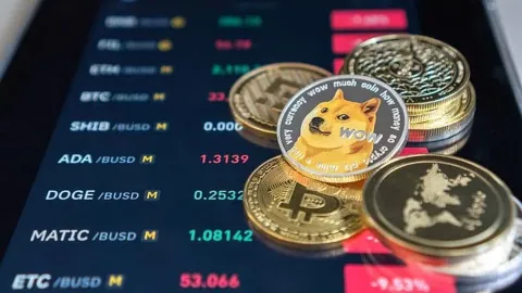 Бездействующий два года адрес переместил 10 млн токенов Dogecoin