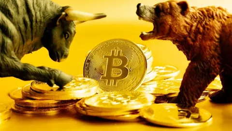 Внезапный обвал биткоина может предшествовать крупному бычьему ралли