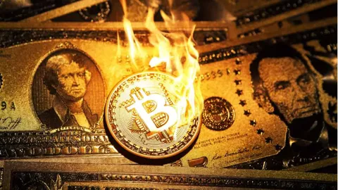 Криптоинвесторы потеряли биткоины более чем на $1,5 млрд
