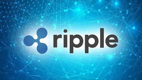 Компания Ripple владеет XRP на сумму свыше $100 млрд