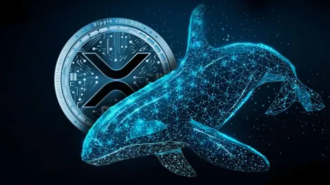 Во время спада на рынке криптокиты купили 120 млн XRP за день