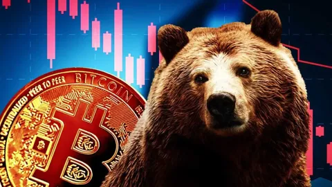 Падение BTC увеличило число терпящих убытки биткоин-инвесторов