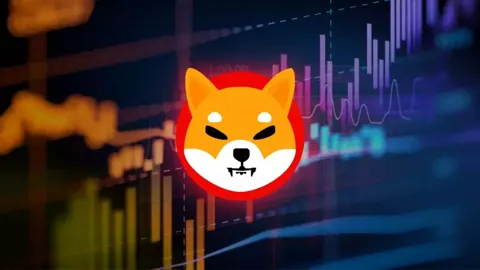 На графике Shiba Inu сформировался худший медвежий паттерн