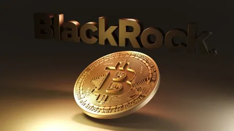 Компания BlackRock назвала свой биткоин-ETF главной инвестиционной темой 2025 года