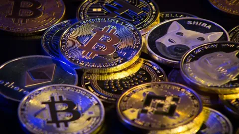 Опрос Kraken: 73% американцев продолжат инвестировать в криптовалюту