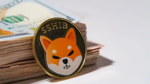 Принесёт ли 2025 год катализаторы для роста токена Shiba Inu?