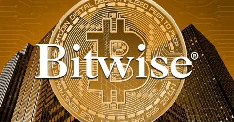 Биткоин по $500000, IPO крупных криптофирм и другие прогнозы Bitwise на 2025 год