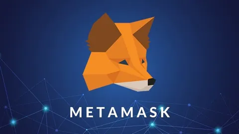 Криптокошелёк MetaMask добавит поддержку биткоинов и Solana
