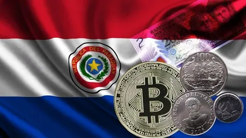Аккаунт президента Парагвая в Х взломали ради ложного сообщения о биткоине