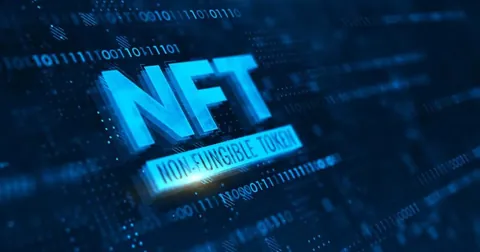 Юристы OpenSea призывают SEC больше не контролировать NFT-площадки