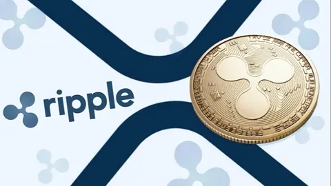 Отклонение ходатайства лишило XRP $2 млрд рыночной капитализации