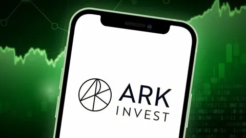 Инвесткомпания ARK Invest купила акции Robinhood на $34 млн