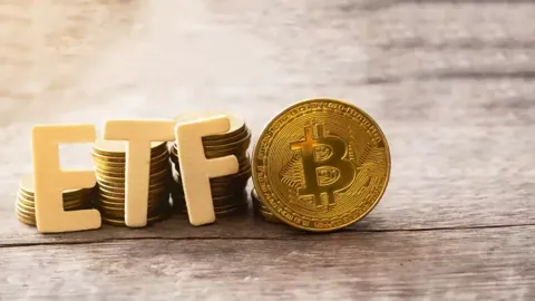 Спотовые биткоин-фонды в США вернулись к чистому притоку