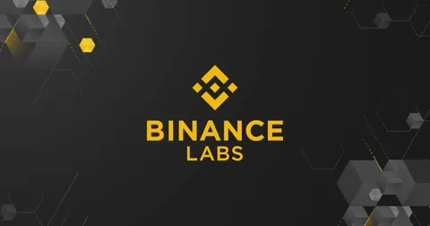 Binance Labs инвестировала в DeSci-акселератор BIO Protocol