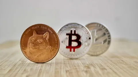Dogecoin и Litecoin майнить в три раза выгоднее, чем биткоины