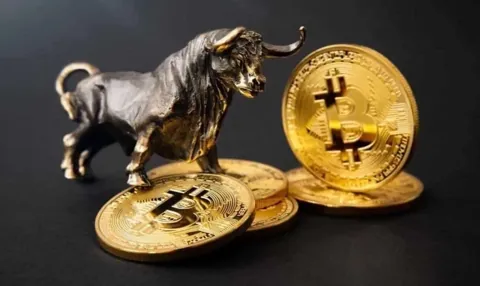 Биткоин подорожает до $120,000, если сезонные паттерны не изменятся