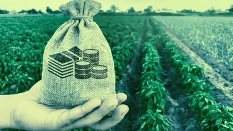 Гайд от Happy Coin News: в каких DeFi фармить доход в 2026 году?