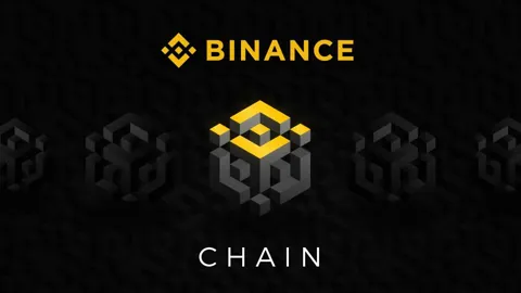 Общая стоимость реальных активов в BNB Chain повысилась на 555%