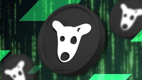 Команда DOGS представила дорожную карту на первое полугодие 2025 года