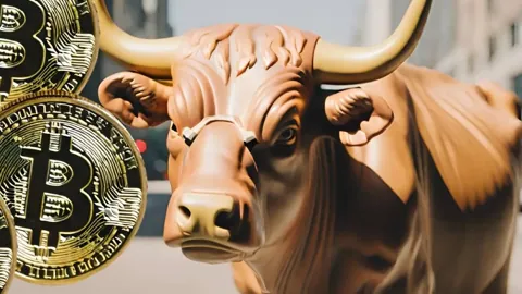 Чанпен Чжао: бычье ралли на рынке биткоина только начинается