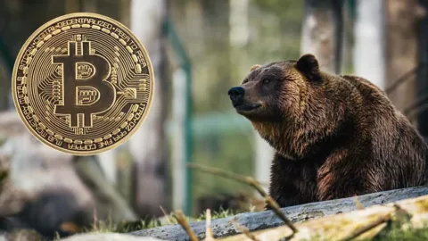 Ходлеры-киты грозятся обрушить курс биткоина до $90,000