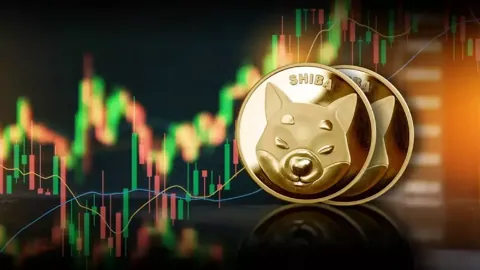 Уровень сжигания Shiba Inu упал до 0%, а объём транзакций китов вырос на 600%