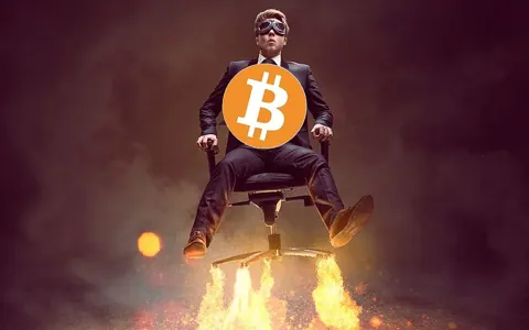 Цена биткоина установила новый ценовой максимум выше $106,300