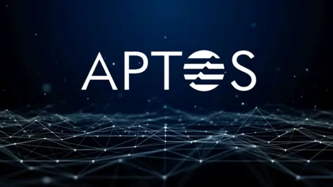 В блокчейне Aptos появился конкурент мемкоин-платформы Pump.fun
