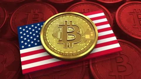 В США хотят продать 1,4 млрд фунтов сыра из госрезерва для покупки BTC