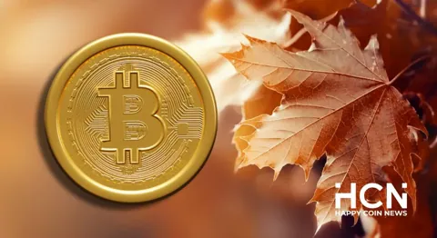 TradingShot прогнозирует, что к сентябрю цена биткоина достигнет $145,000