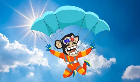 Охотник на airdrop заработал на токенах Magic Eden целых $2,1 млн