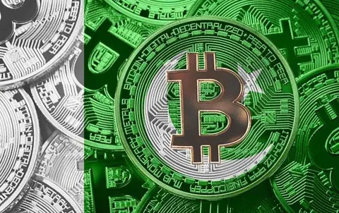 Пакистан может легализовать криптовалюту для привлечения иностранных инвесторов