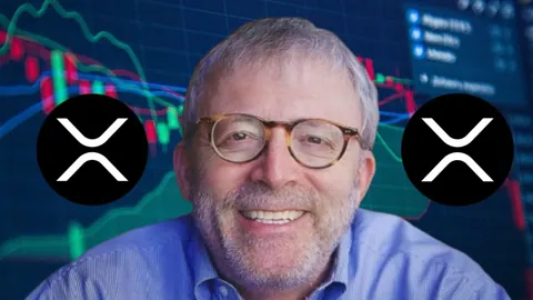 Брандт воодушевлён стартом торгов фьючерсами на XRP на CME Group