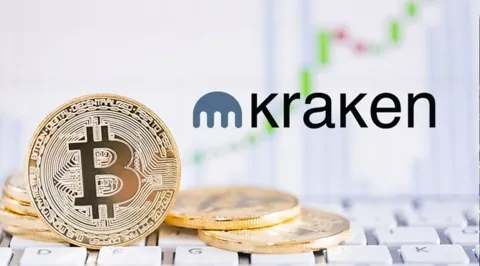 Kraken: 88% держателей криптовалют считают, что упустили прибыль