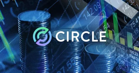 Поддельная платформа CircleMetals выдаёт себя за эмитента USDC
