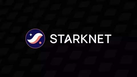В 2024 году TVL решения Ethereum уровня 2 Starknet выросла на 550%