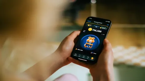 За месяц число пользователей Hamster Kombat сократилось с 300 млн до 41 млн