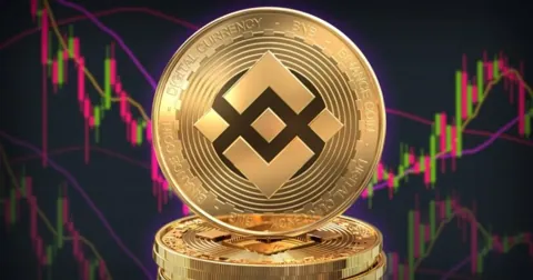 Заявка на создание BNB-ETF не повлияла на курс криптовалюты