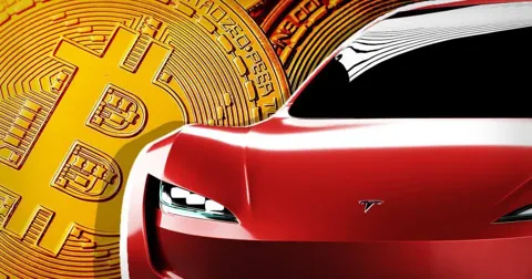 В четвёртом квартале 2024 года прибыль Tesla от биткоинов составила $600 млн