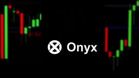 Что спровоцировало неожиданный рост Onyxcoin на 78%?
