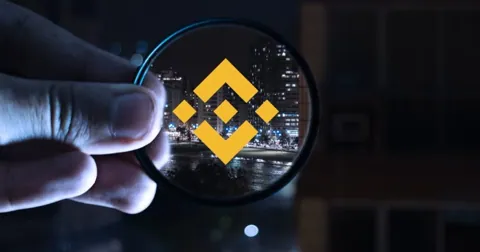 BNB снова на пятом месте в рейтинге криптовалют по рыночной капитализации