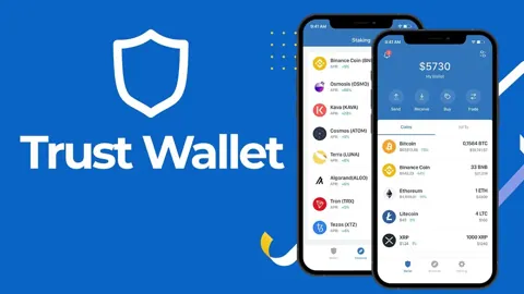 Trust Wallet начал запрашивать подтверждение личности из-за роста ложных заявлений от пострадавших